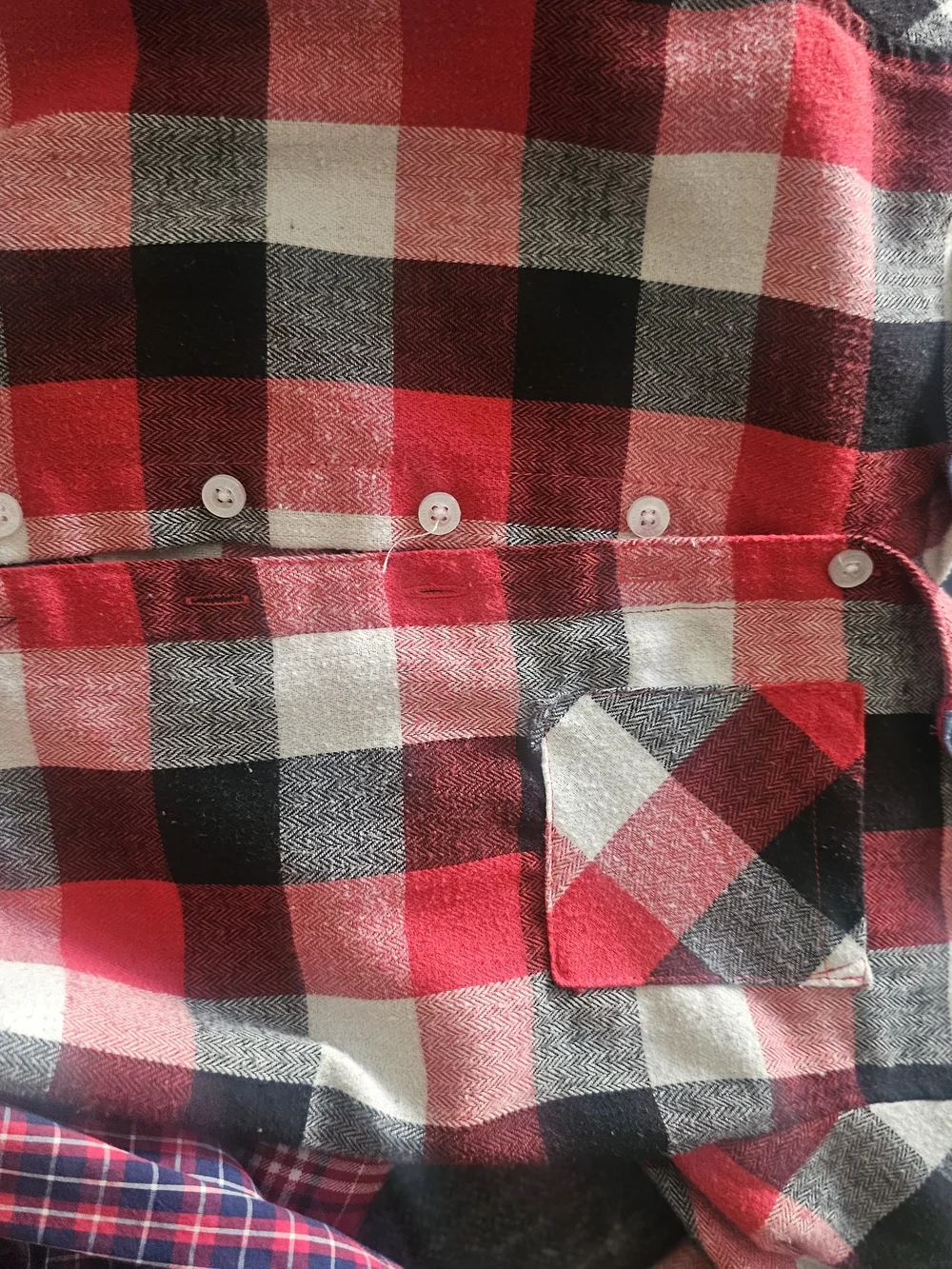 Carter's Red and Blue Plaid Button-Down Shirts Pack